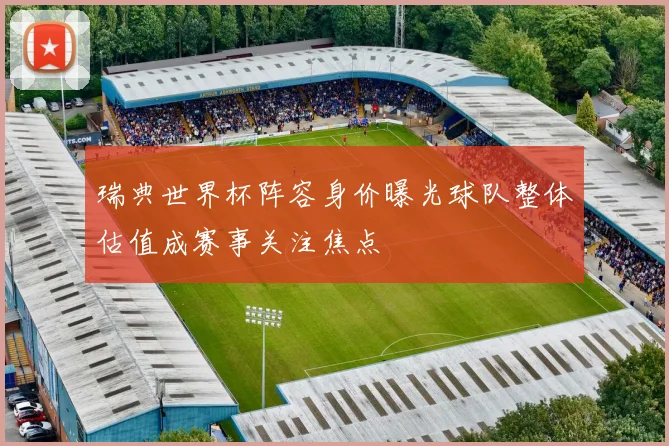瑞典世界杯阵容身价曝光球队整体估值成赛事关注焦点