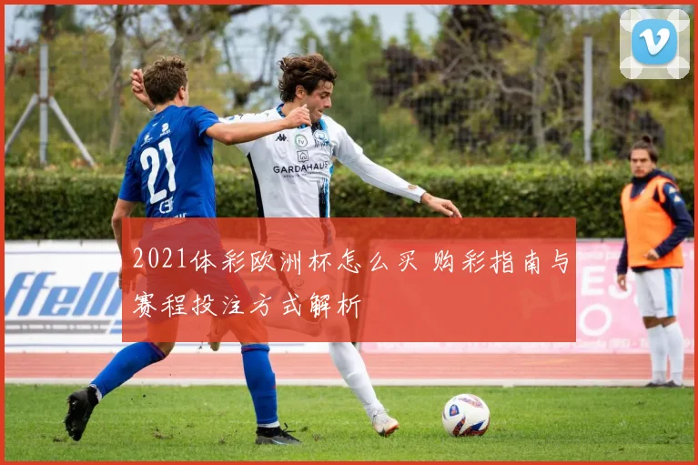 2021体彩欧洲杯怎么买 购彩指南与赛程投注方式解析